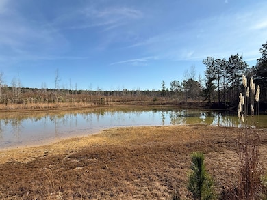 Roebuck Dr, Preston, MS 39354 - photo 2