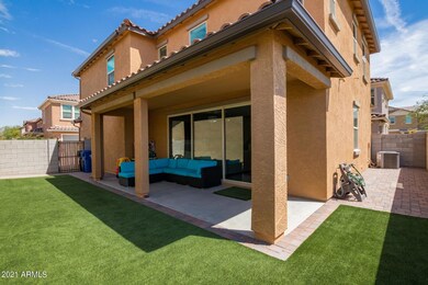 2 backyard