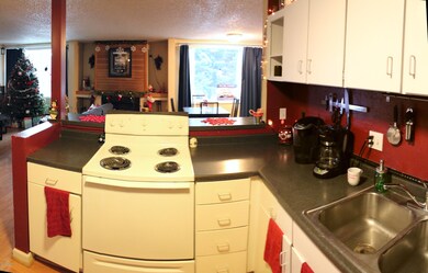 Kitchen Area Photo #2