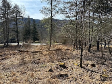 0 Winslow Hill Rd unit 21440465, Benezette, PA 16056 - photo 5