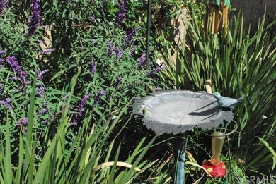 Backyard Gardens