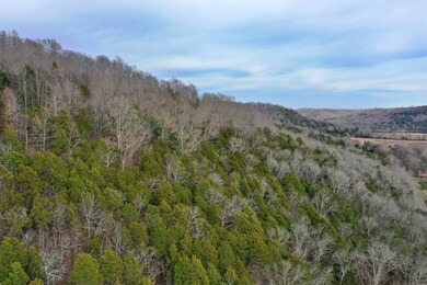 565 Cedar Creek Rd, Linden, TN 37096 - photo 6