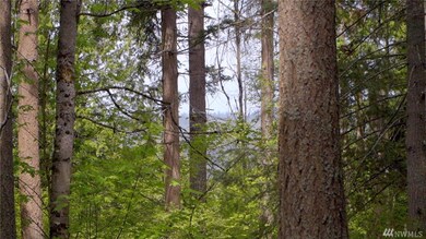 0 E Mcleod St unit 1445485, Bellingham, WA 98226 - photo 7