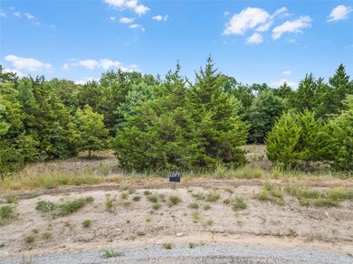 LOT 7 Cedar Springs Dr, Decatur, TX 76234 - photo 5