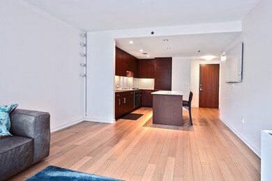 Millenium Place unit 712, Boston, MA 02111 - photo 2