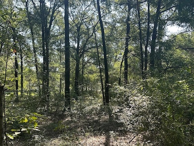 Danner Dr, Wilmer, AL 36587 - photo 5