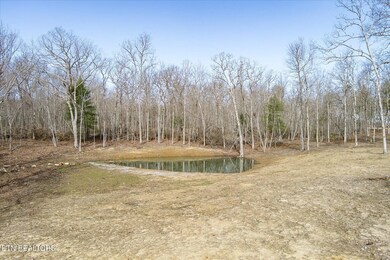 372 Perkins Trail, Deer Lodge, TN 37726 - photo 4