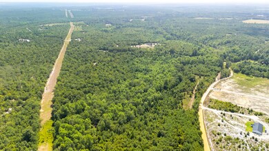 2576 Jessie James Pond Rd, Wrens, GA 30818 - photo 4