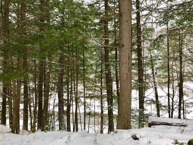 8 Potter Brook Rd, Warrensburg, NY 12885 - photo 7