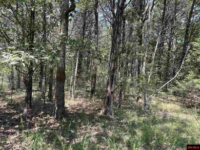 0 Lago Ln, Elizabeth, AR 72531 - photo 3