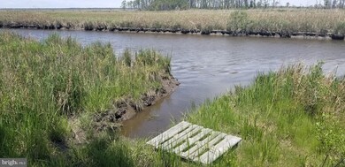 2504 Wesley Church Rd, Crapo, MD 21626 - photo 2