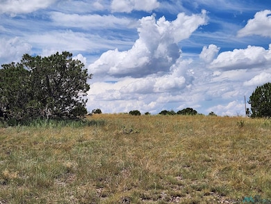 132 Cimarron Dr, Quemado, NM 87829 - photo 7