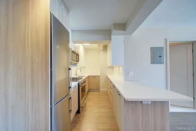 Kitchen with a peninsula, appliances with stainless steel finishes, light brown cabinets, light wood finished floors, and electric panel