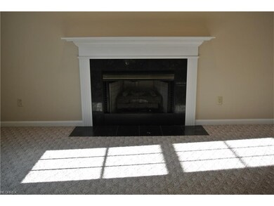 Gas Fireplace