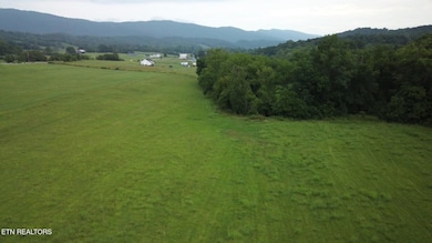 3 Rutledge Lot 3 Pike, Blaine, TN 37709 - photo 2