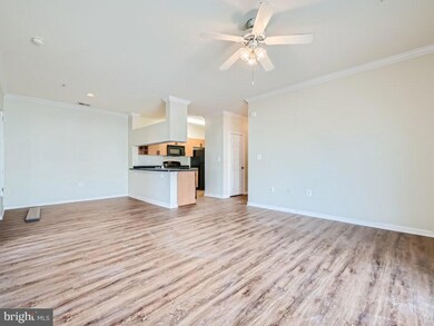 13500 Derry Glen Ct unit 301, Germantown, MD 20874 - photo 6
