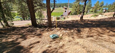 Buried Propane tank