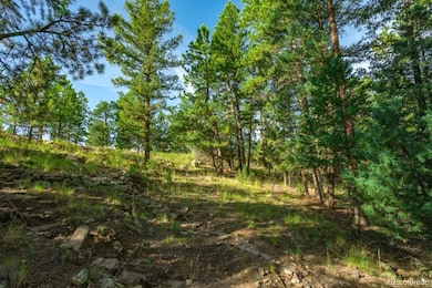 360 Hi Meadow Dr unit 21, Bailey, CO 80421 - photo 3