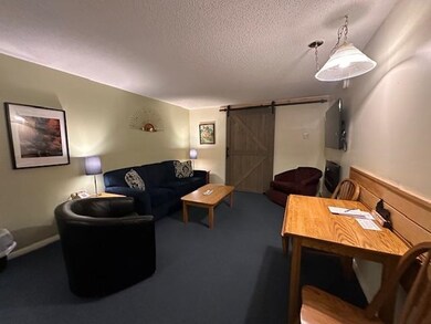 2955 White Mountain Hwy unit 225 (E47), North Conway, NH 03860 - photo 4