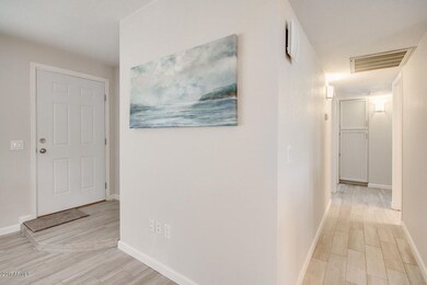 Entrance and Hallway