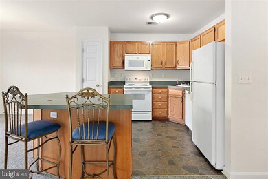 11421 Manklin Creek Rd unit 8, Berlin, MD 21811 - photo 7