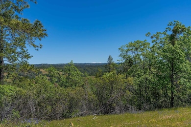 12377 Twin Pines Rd, Sutter Creek, CA 95685 - photo 6