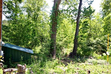 00 Zeb Warren Rd, Cookeville, TN 38506 - photo 4