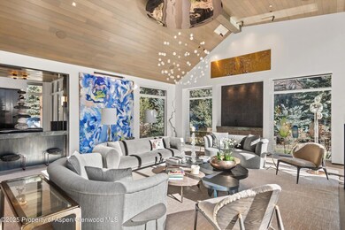 219 N Monarch St, Aspen, CO 81611 - photo 5