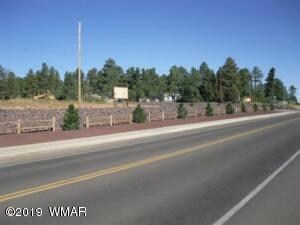 120 W Owens, Show Low, AZ 85901 - photo 4