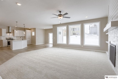 10914 N 162nd St, Bennington, NE 68007 - photo 7