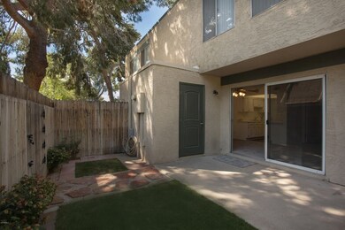 Back Patio