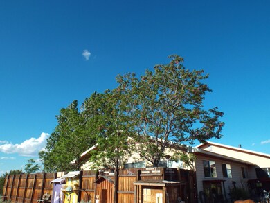 DSCF6997
