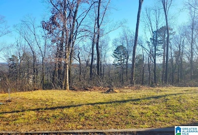 5009 Altamont Rd S unit 10, Birmingham, AL 35222 - photo 7