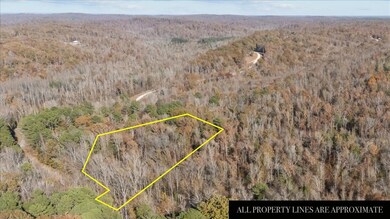 0 Cuba Landing Rd unit RTC3059778, Waverly, TN 37185 - photo 7