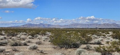 800 Donaldson Rd, Lucerne Valley, CA 92356 - photo 3