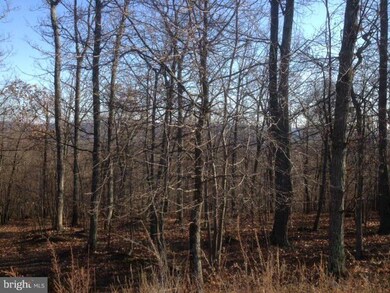 0 Grimaldi Way unit 1000568917, Gerrardstown, WV 25420 - photo 5