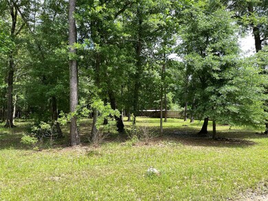 0 County Road 3750 N, Cleveland, TX 77328 - photo 4