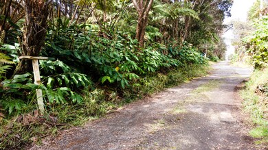 Looking up Ainahau Rd. past front of lot.