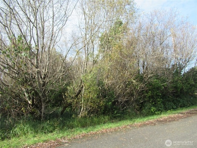 12 Driftwood St, Ocean Shores, WA 98569 - photo 3