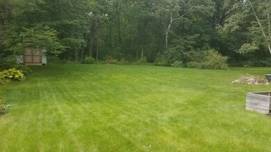 03. Backyard