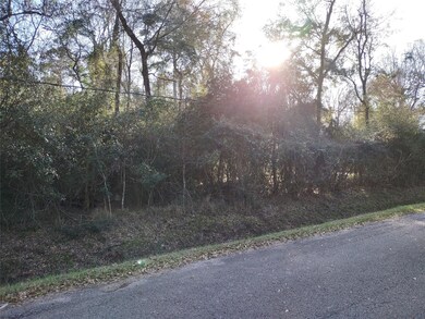 00 Seminole, Magnolia, TX 77354 - photo 3