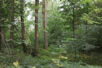 29 Ac Sunrise Rd, Rutland, WI 53575 - photo 5