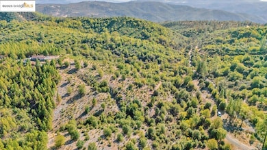 00 Jackass Creek Rd, Groveland, CA 95321 - photo 4