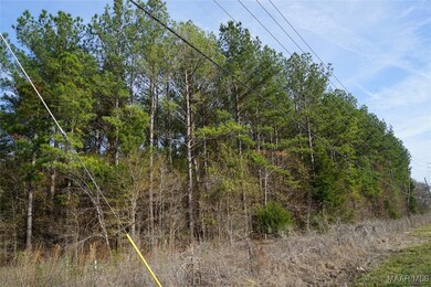 1651 Ray Thorington Rd, Montgomery, AL 36117 - photo 5