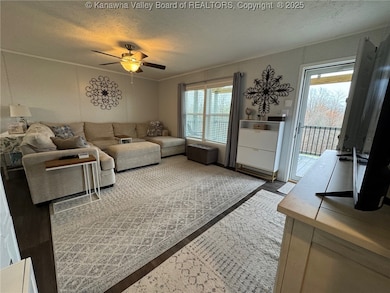 6498 Triplett Ridge Rd, Clay, WV 25043 - photo 7