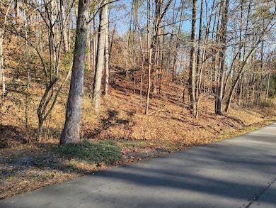 000 Bishop Trail, Rocky Face, GA 30740 - photo 2