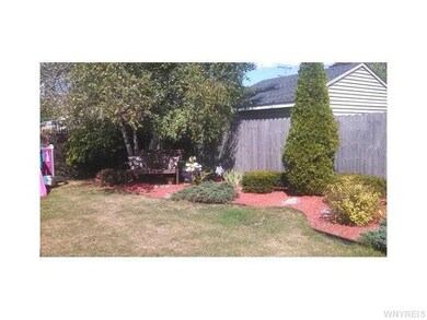 Backyard.