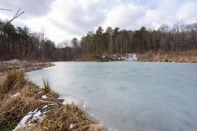 0 Harble Griffith Rd, Logan, OH 43138 - photo 2