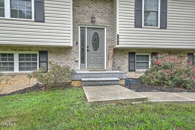 101 Sapling Grove DB-4