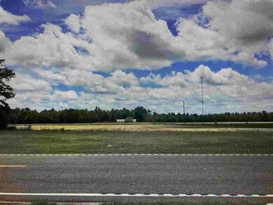 2.8 W Highway 19, Loris, SC 29569 - photo 2